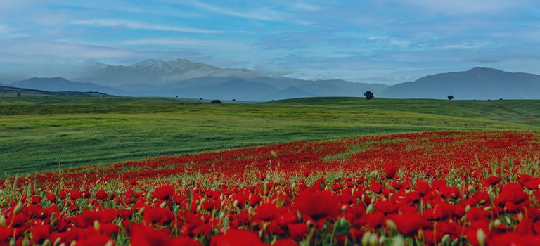 ismayilli_background.jpg